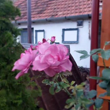 Bed & Breakfast Cottage Spa Ada *